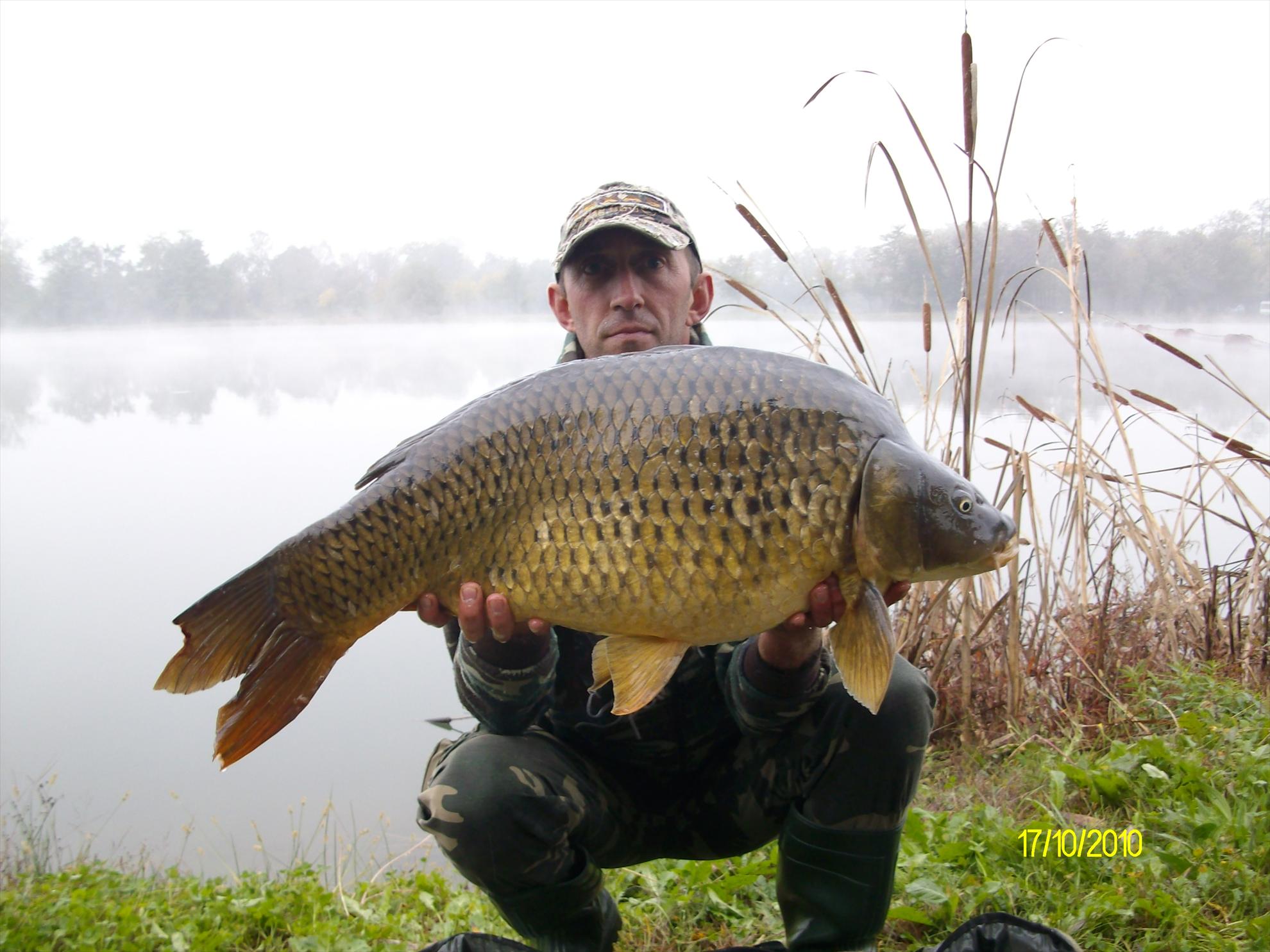 florian tanasa - 308.JPG